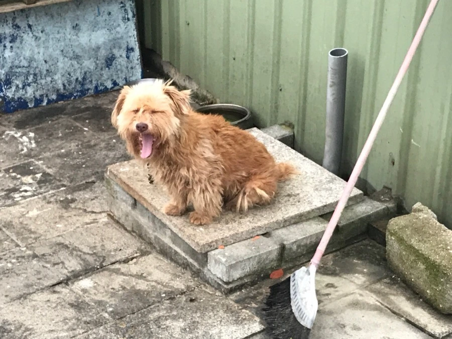 IMG_8606.jpg?type=w966