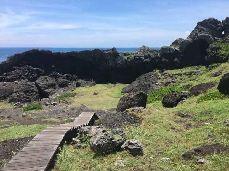 attachImage_2561499723.jpeg?type=w773