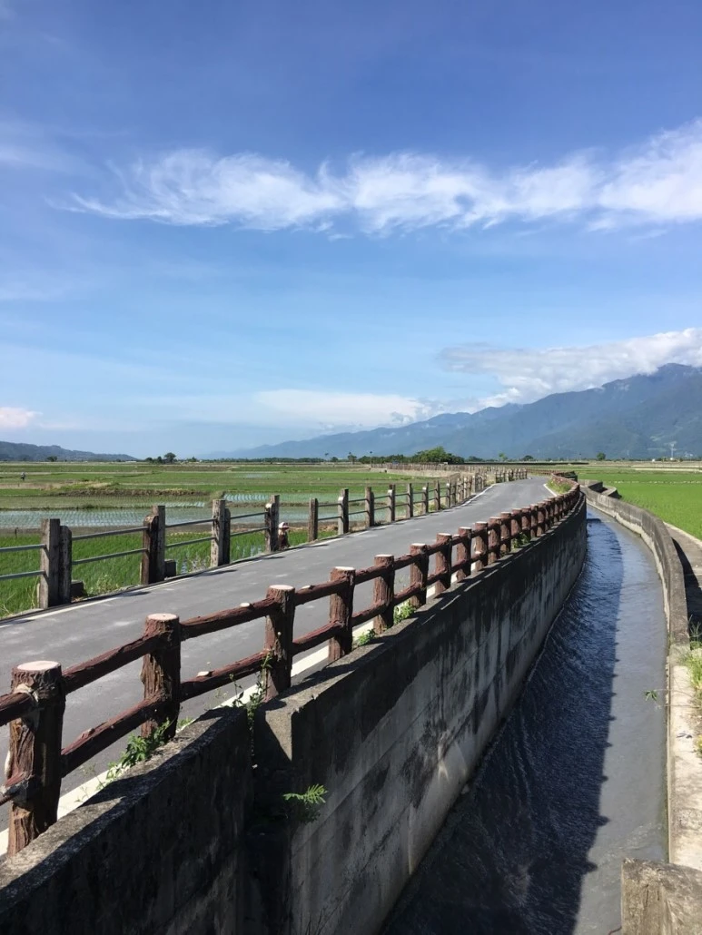 attachImage_2141809942.jpeg?type=w773