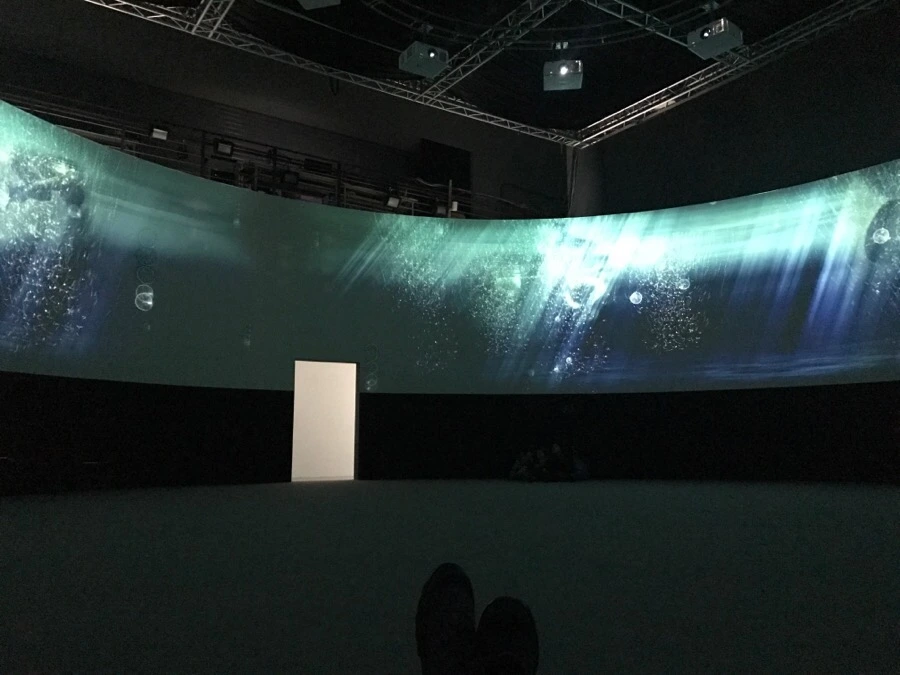 IMG_0311.jpg?type=w966