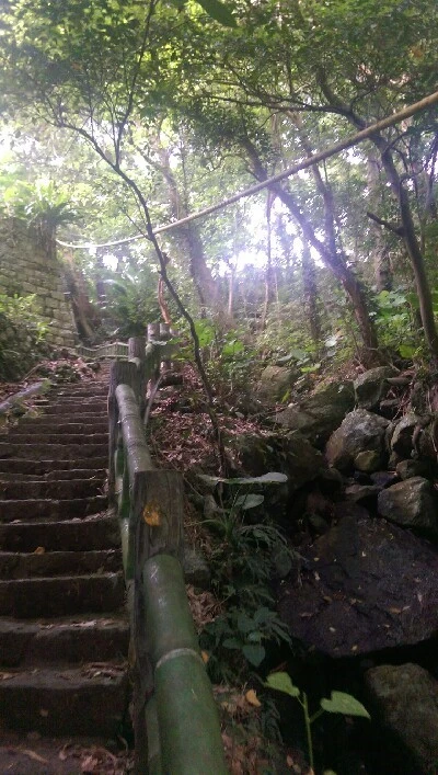 IMAG5979.jpg?type=w773