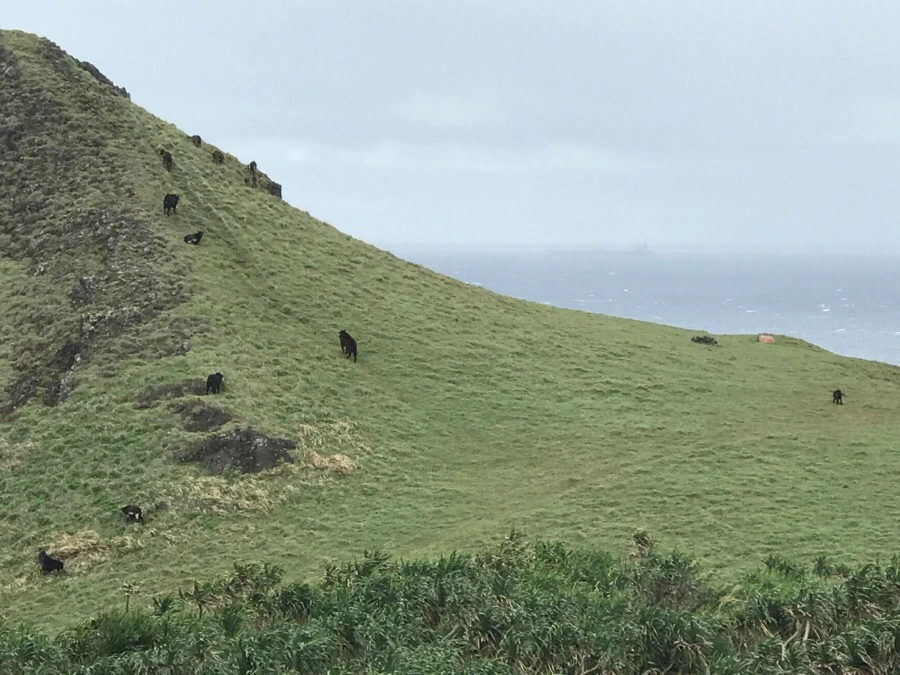 IMG_1645.jpg?type=w966