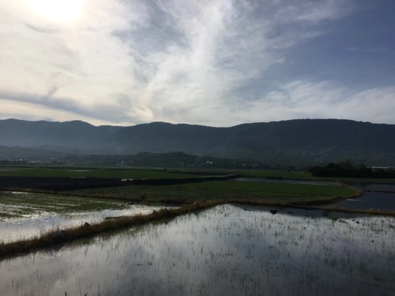 attachImage_1512130248.jpeg?type=w773