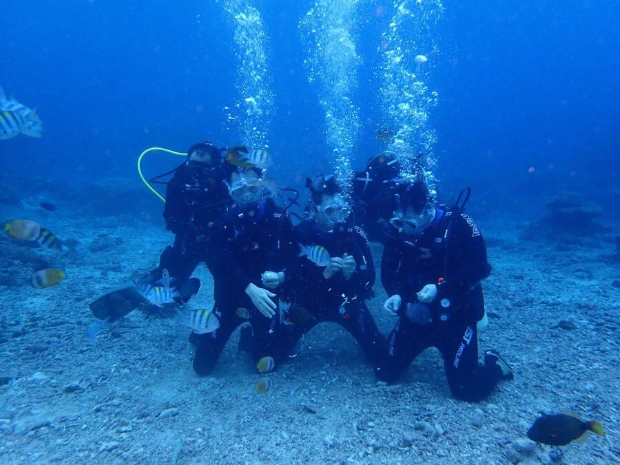 IMG_1829.jpg?type=w966