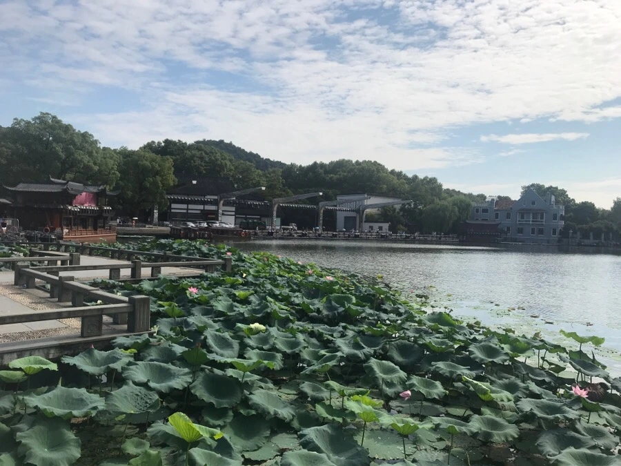 IMG_1149.jpg?type=w1