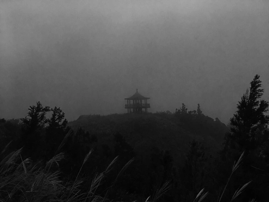 IMG_5428.JPG?type=w966