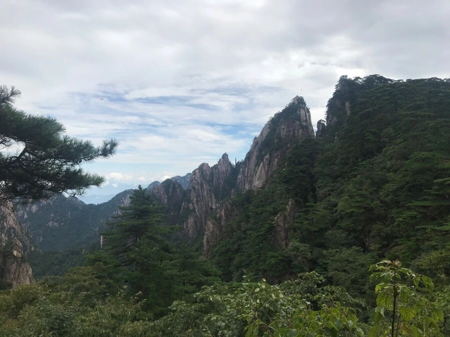 IMG_0741.jpg?type=w966