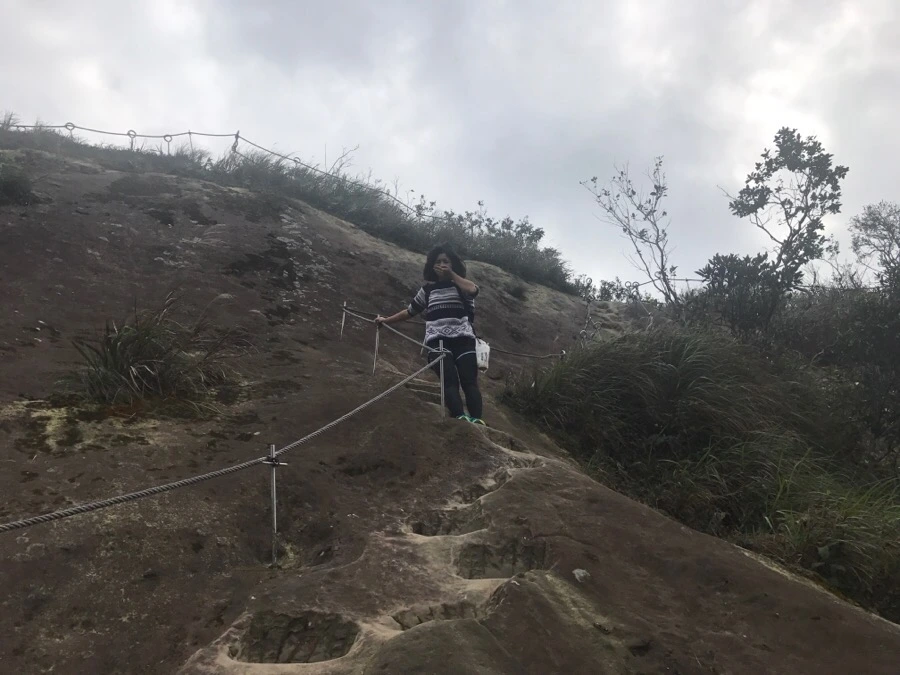 IMG_1058.jpg?type=w966