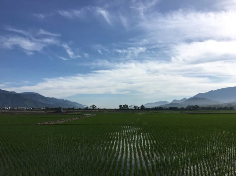 attachImage_372229038.jpeg?type=w773