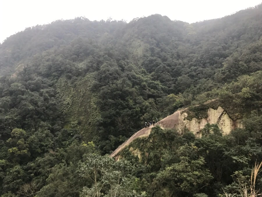 IMG_1067.jpg?type=w966