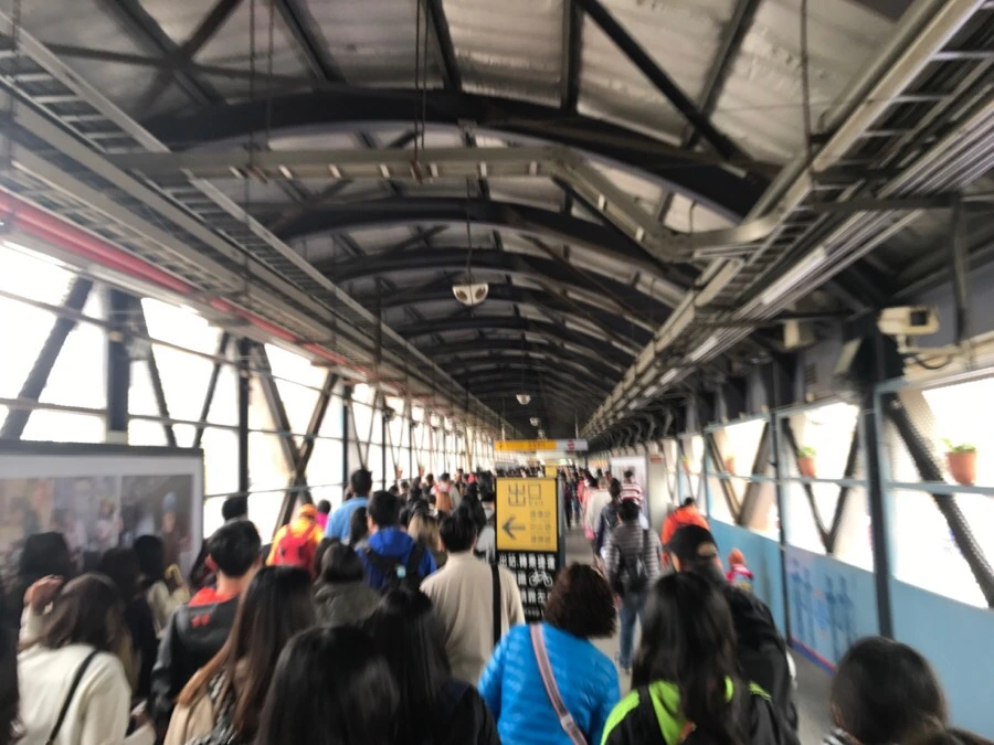 IMG_3250.jpg?type=w966