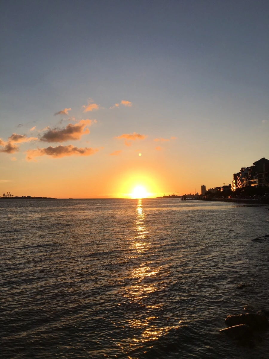 attachImage_2312331554.jpeg?type=w966