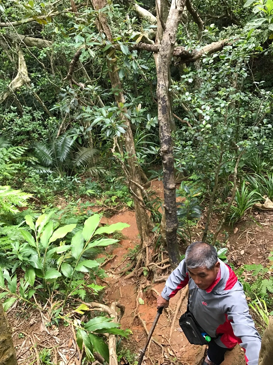 IMG_3643.jpg?type=w966