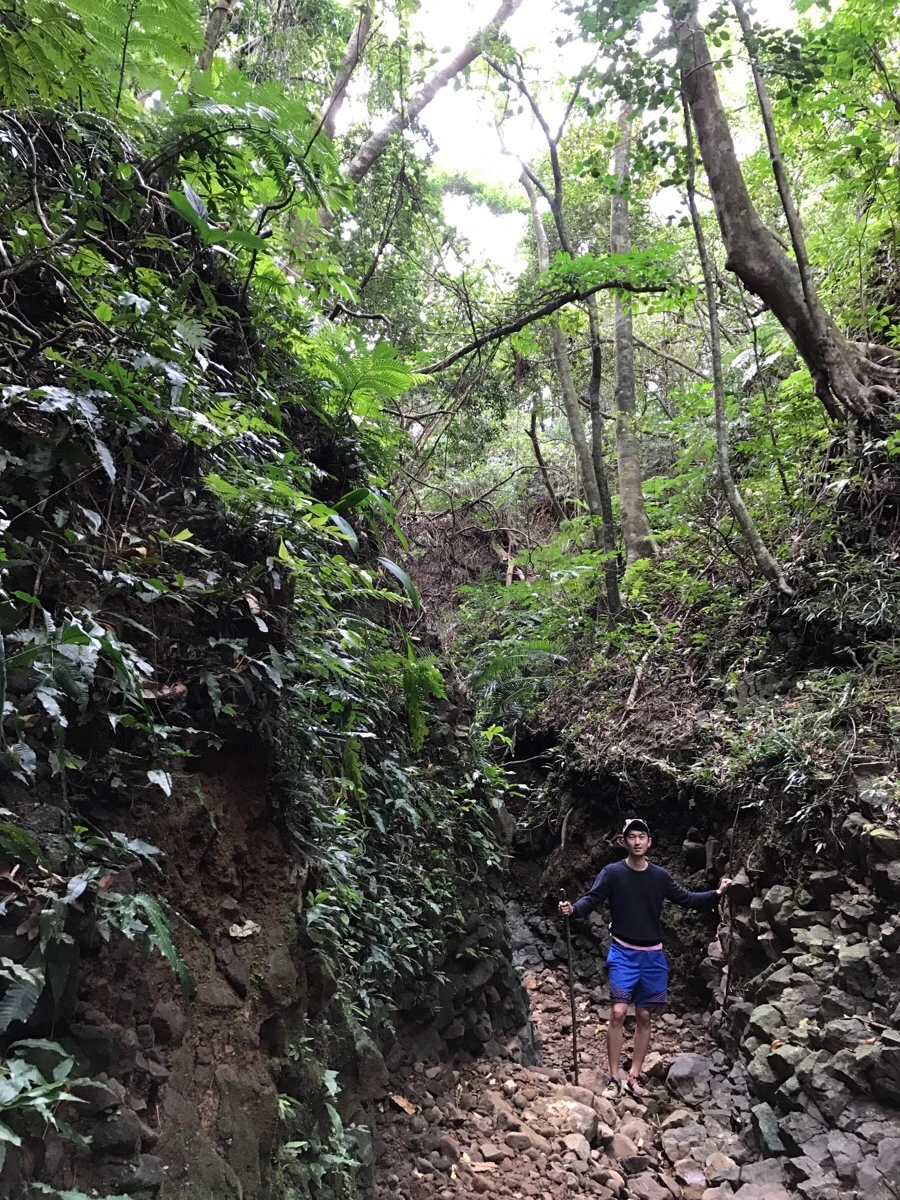 IMG_3655.jpg?type=w966