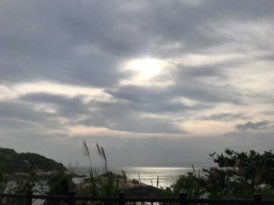 IMG_8543.jpg?type=w966