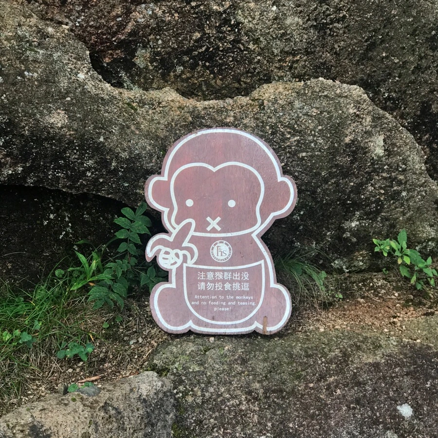 IMG_0893.jpg?type=w966