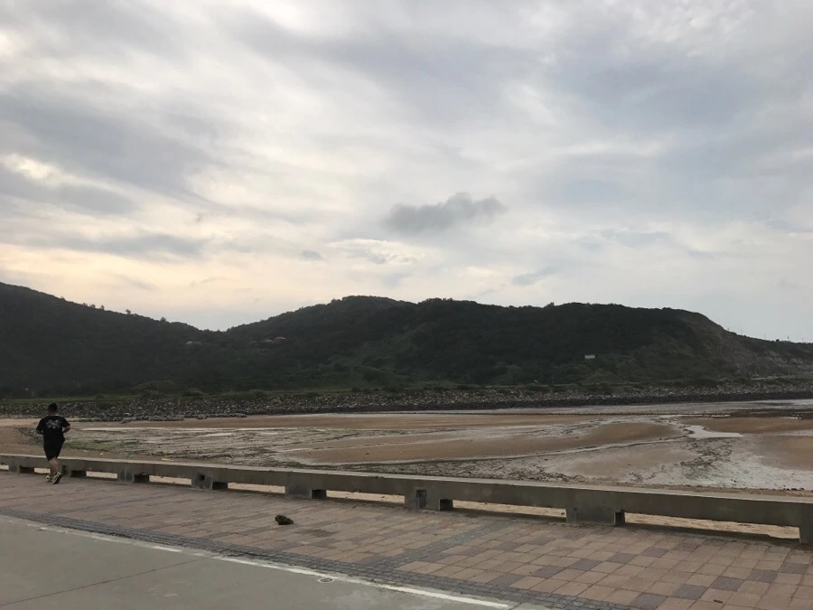 IMG_8550.jpg?type=w966