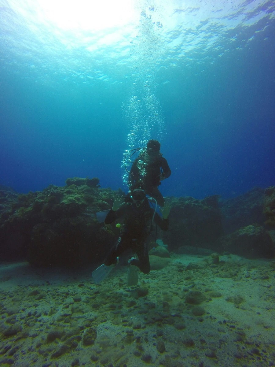 IMG_3585.jpg?type=w966