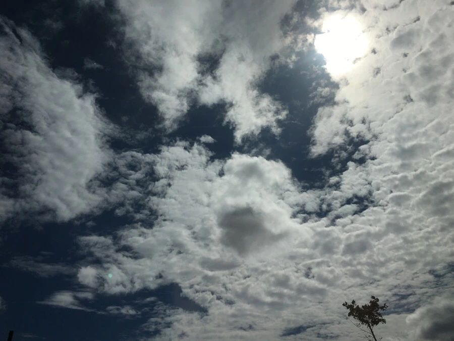 IMG_4948.JPG?type=w966