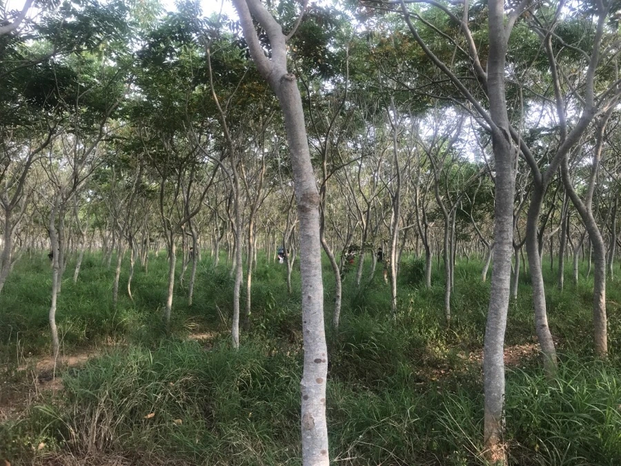 IMG_3276.jpg?type=w966