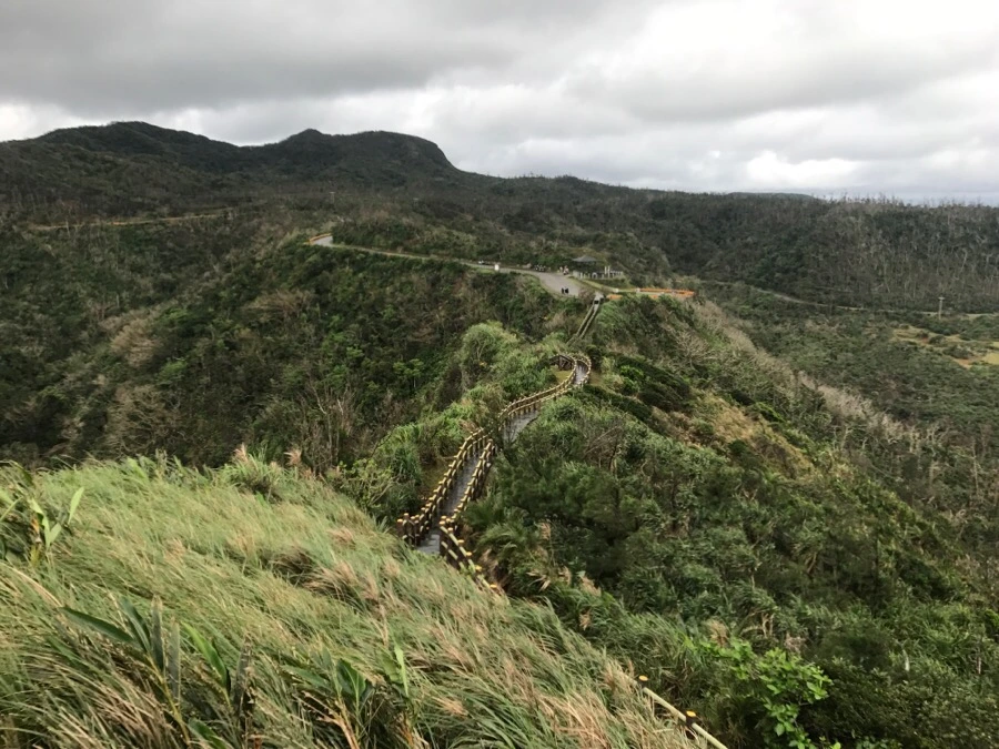 IMG_1591.jpg?type=w966