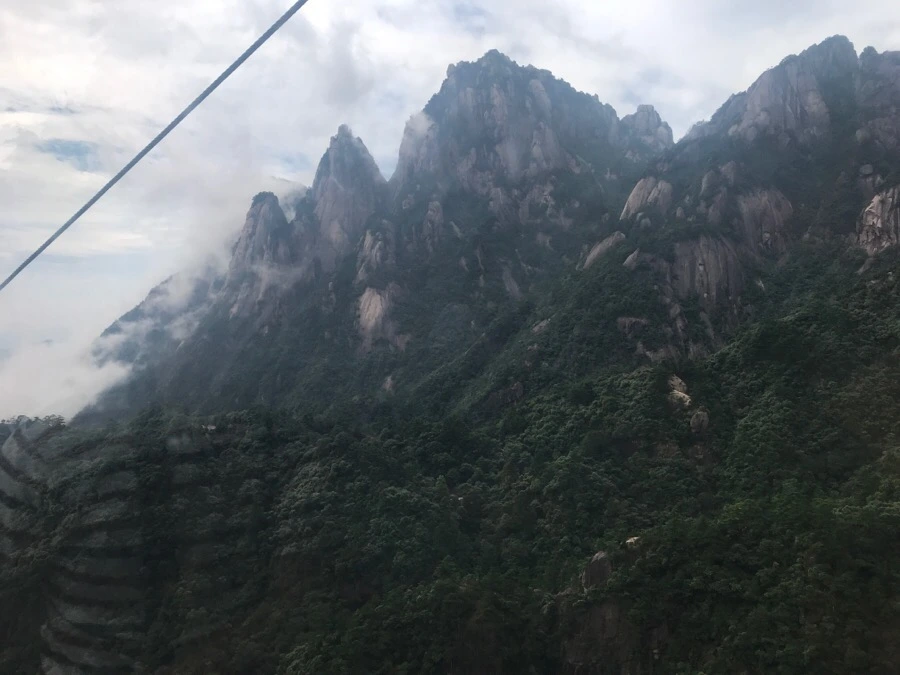 IMG_0704.jpg?type=w966