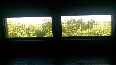 IMAG6216.jpg?type=w773