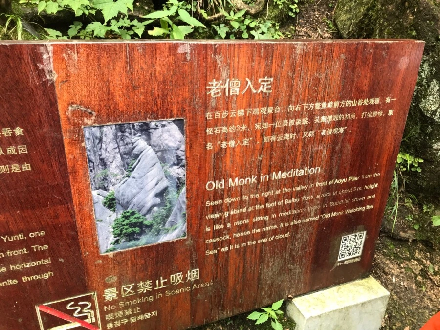 IMG_0848.jpg?type=w966