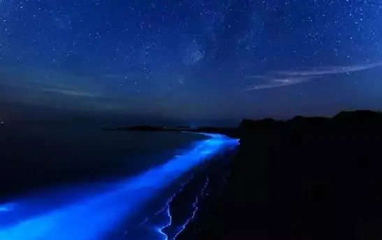 1f7b0005e59b38d15f00.jpeg?type=w966