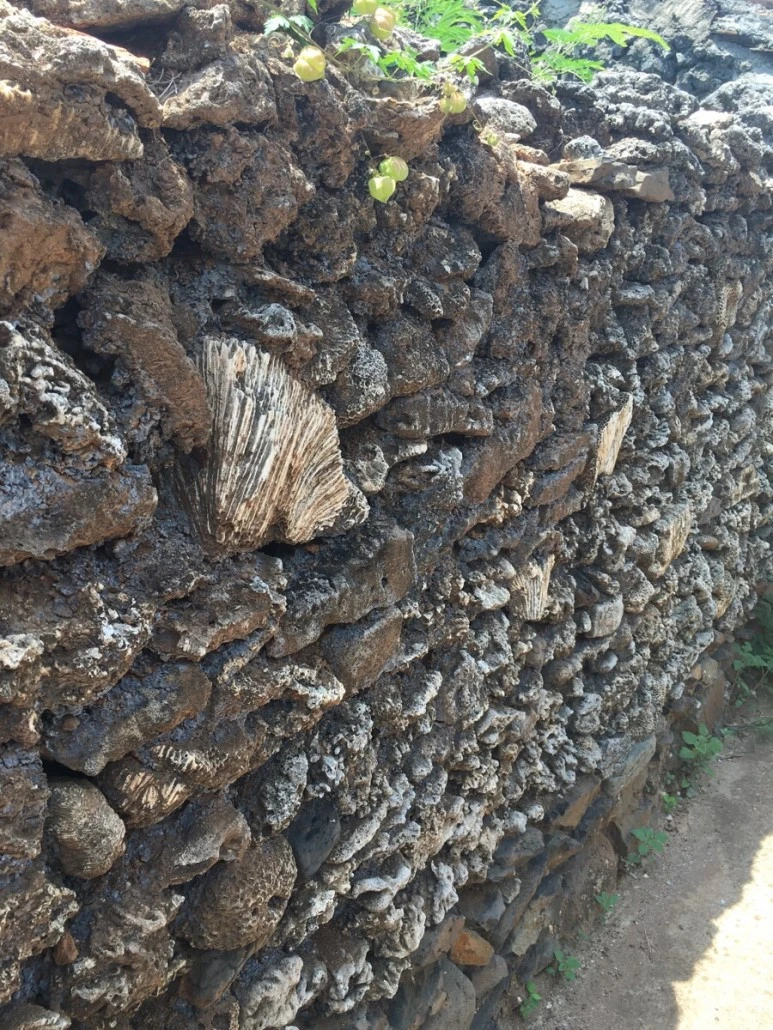 attachImage_1462520684.jpeg?type=w773