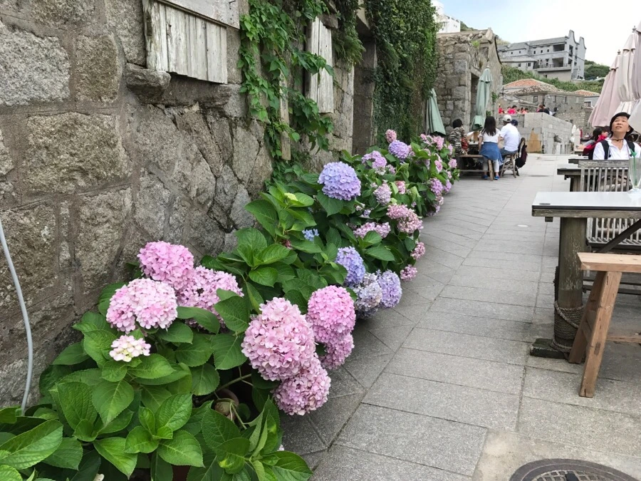 IMG_8501.jpg?type=w966