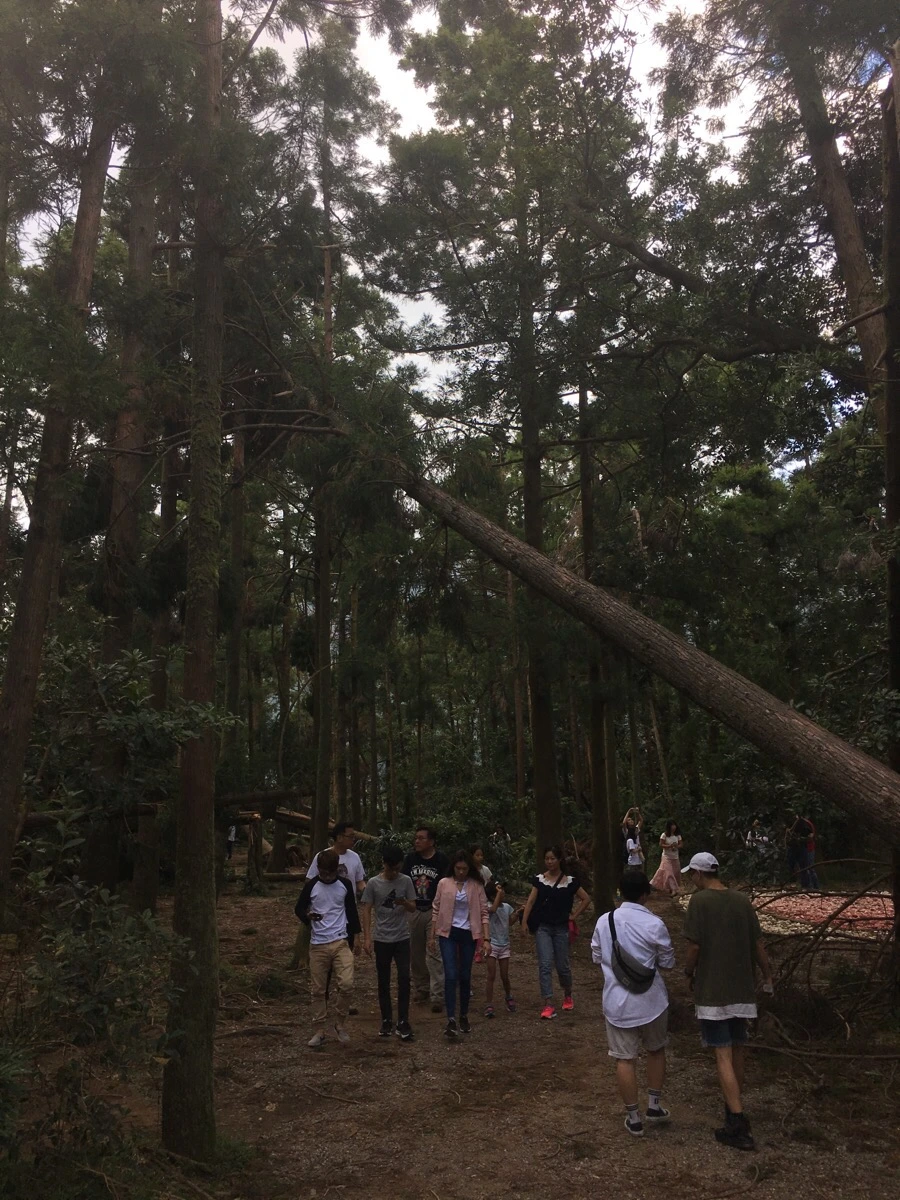 IMG_5339.JPG?type=w966