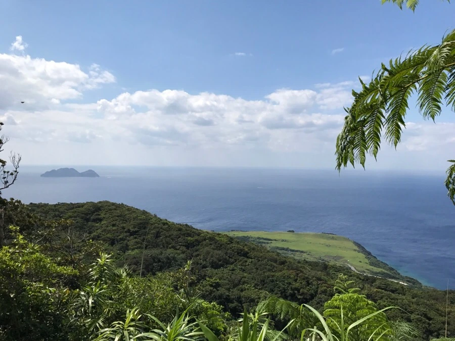 IMG_3660.jpg?type=w966