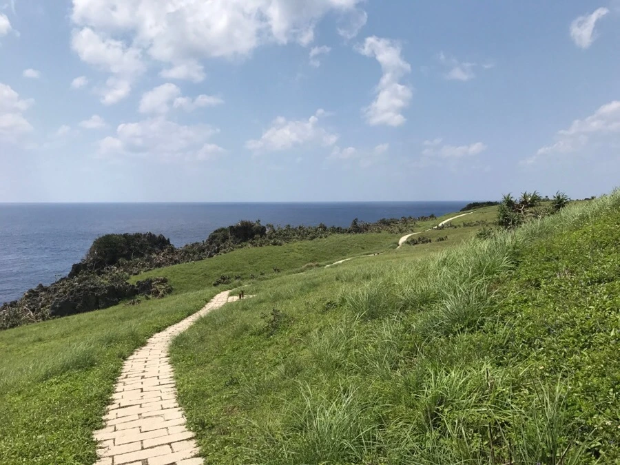 IMG_3913.jpg?type=w966