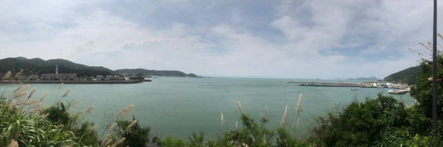 IMG_8471.jpg?type=w966