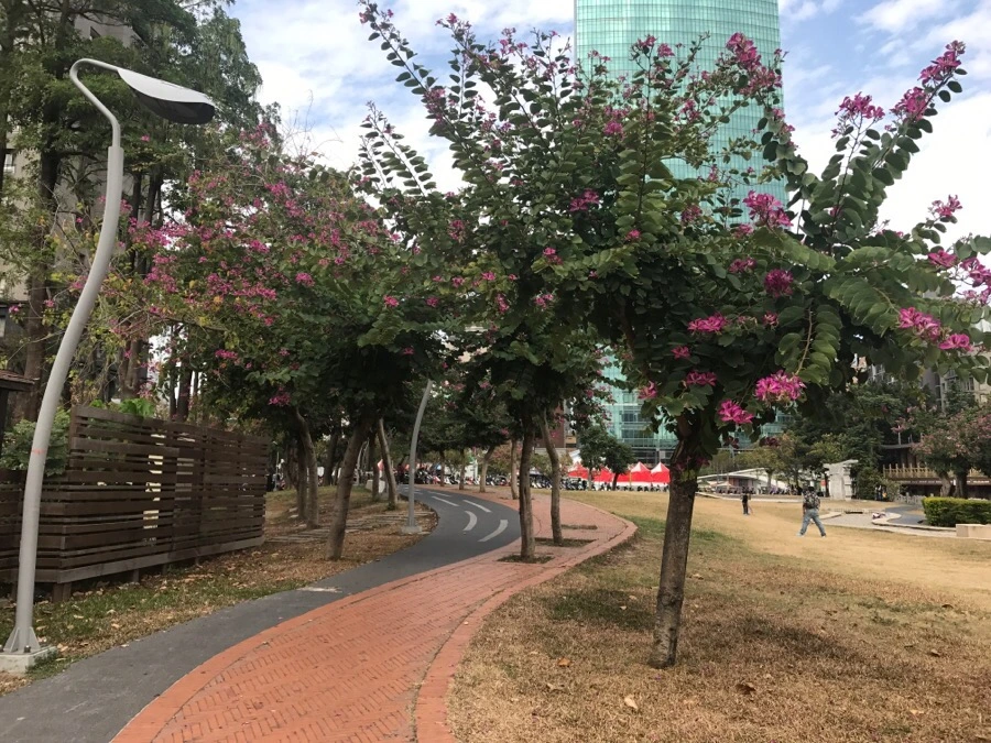 IMG_0340.jpg?type=w966