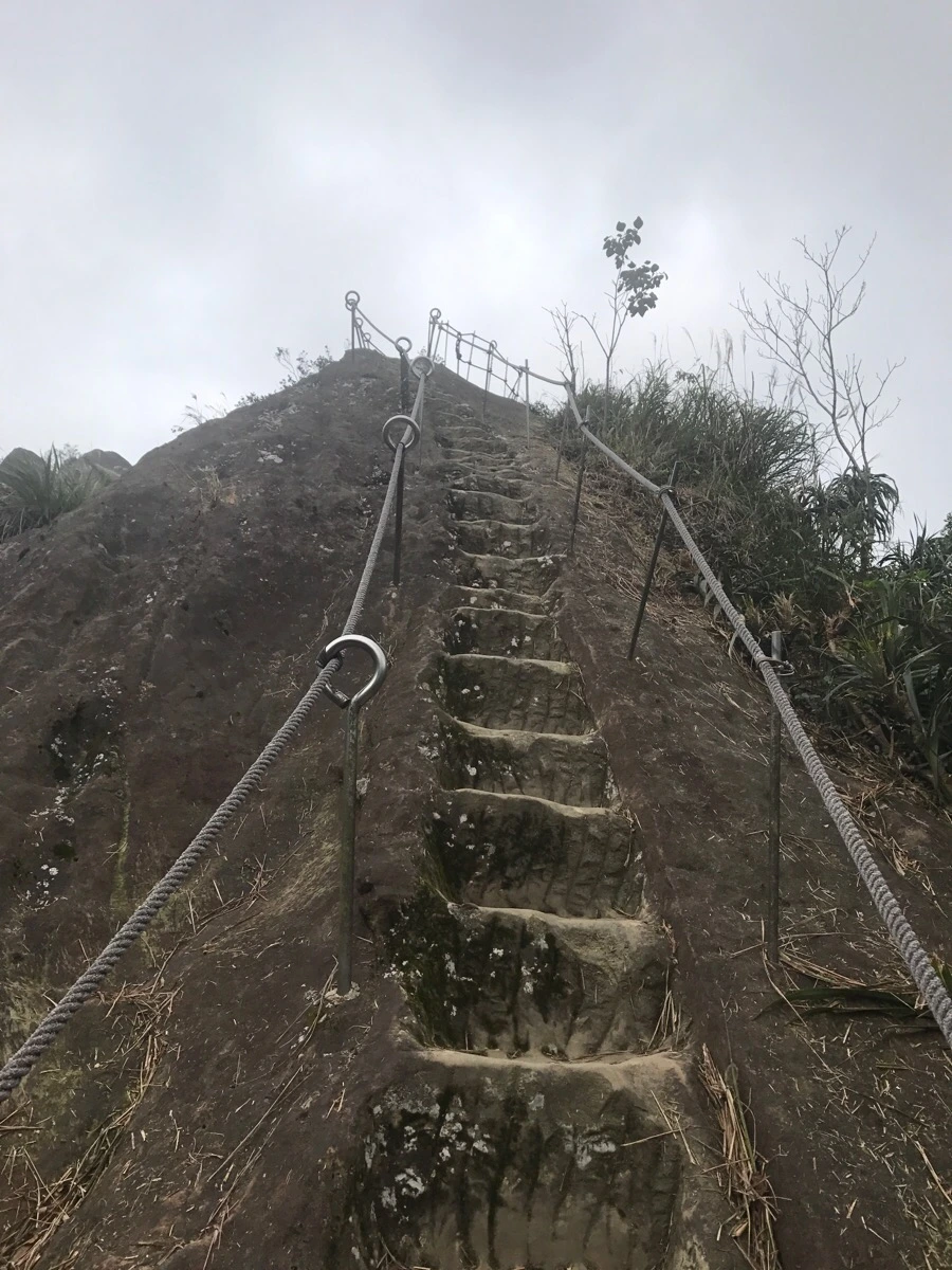 IMG_1048.jpg?type=w966