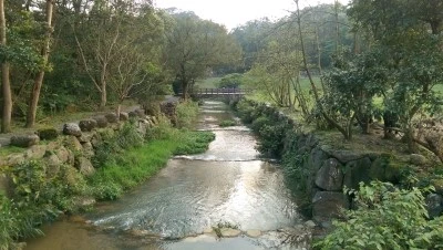 IMAG4182.jpg?type=w2