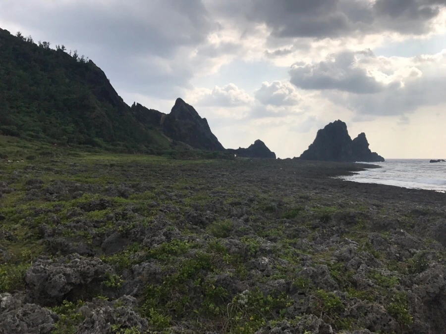 IMG_3865.jpg?type=w966