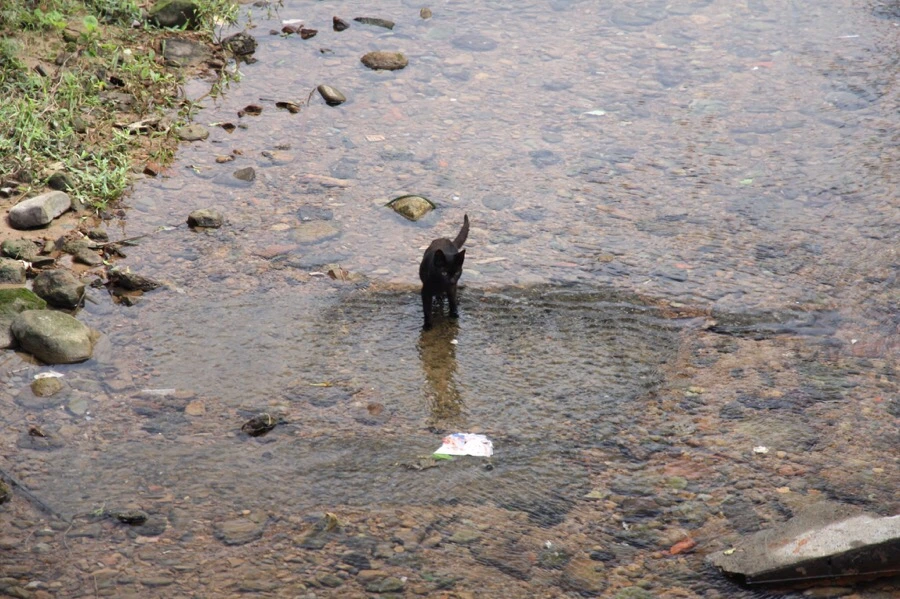 IMG_5281.JPG?type=w966