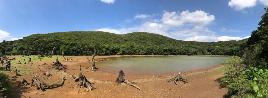 IMG_3662.jpg?type=w966