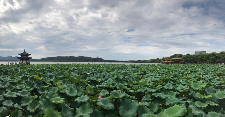 IMG_0558.jpg?type=w966