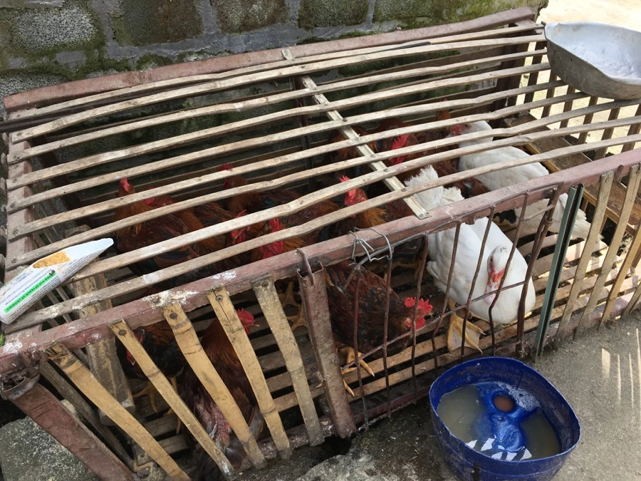 IMG_3411_Original.JPG?type=w1