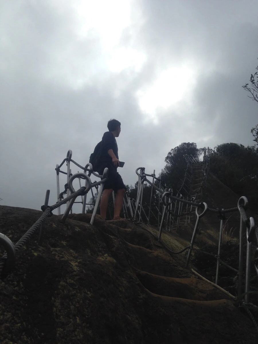 IMG_6975.jpg?type=w966