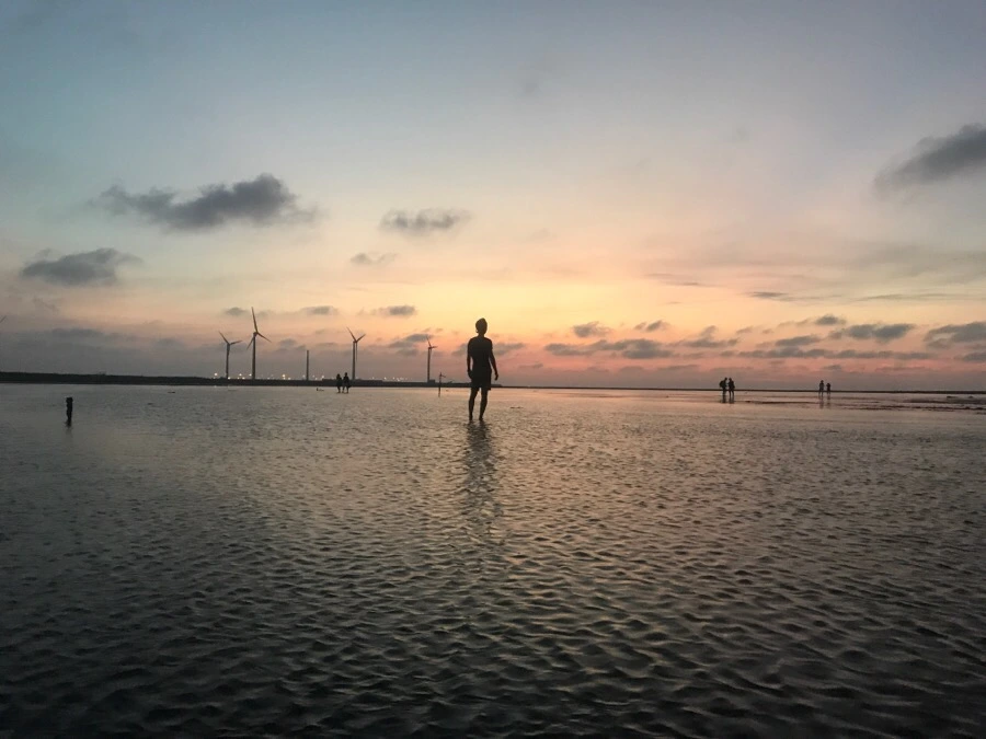 IMG_3379.jpg?type=w966