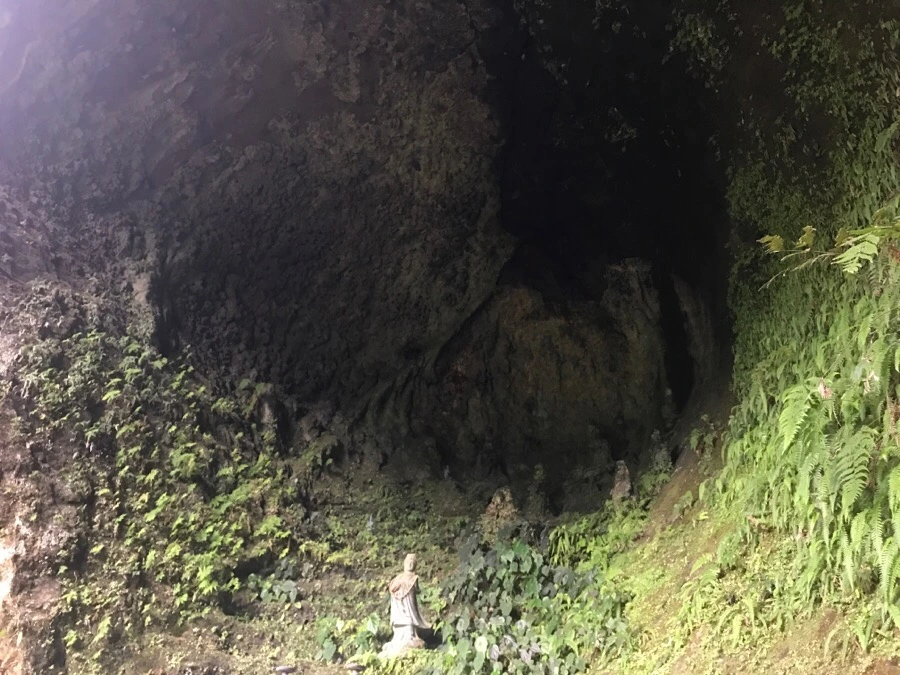 IMG_1094.jpg?type=w966