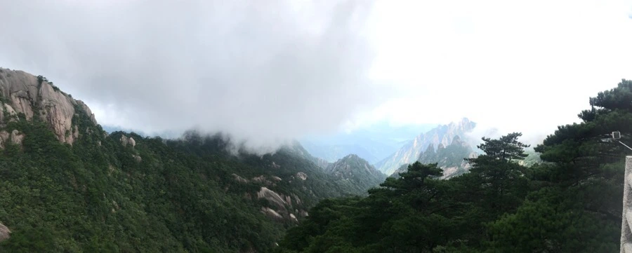 IMG_0809.jpg?type=w966