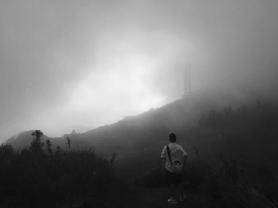 IMG_5440.JPG?type=w966