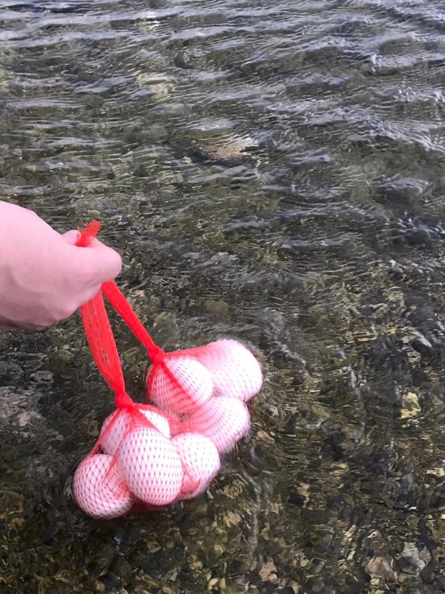 IMG_1568.jpg?type=w966