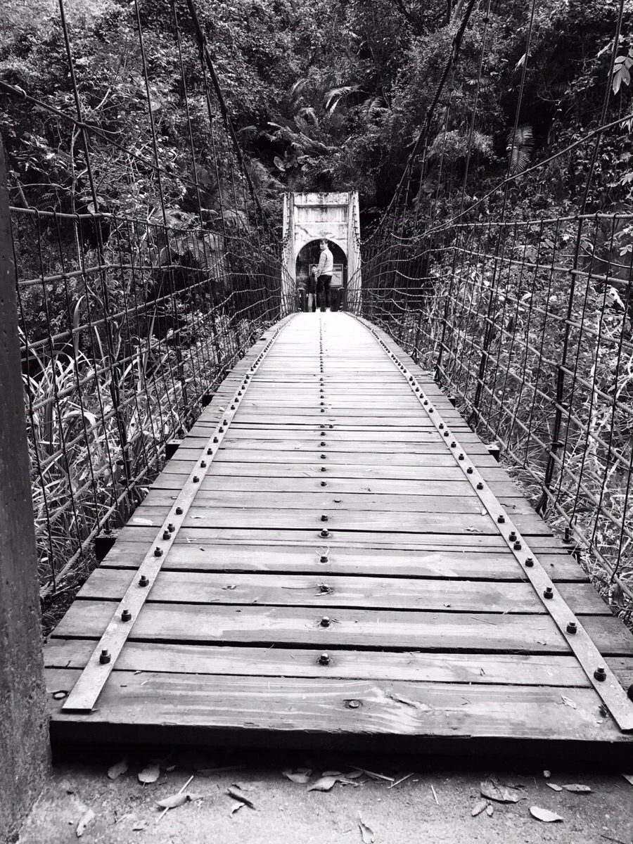 IMG_2218.jpg?type=w966